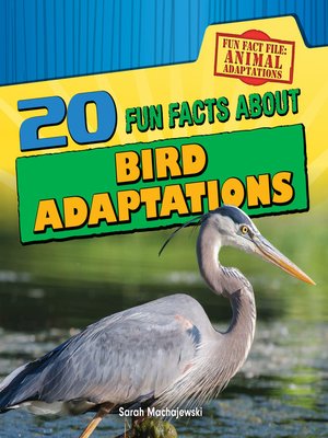 cover image of 20 Fun Facts About Bird Adaptations